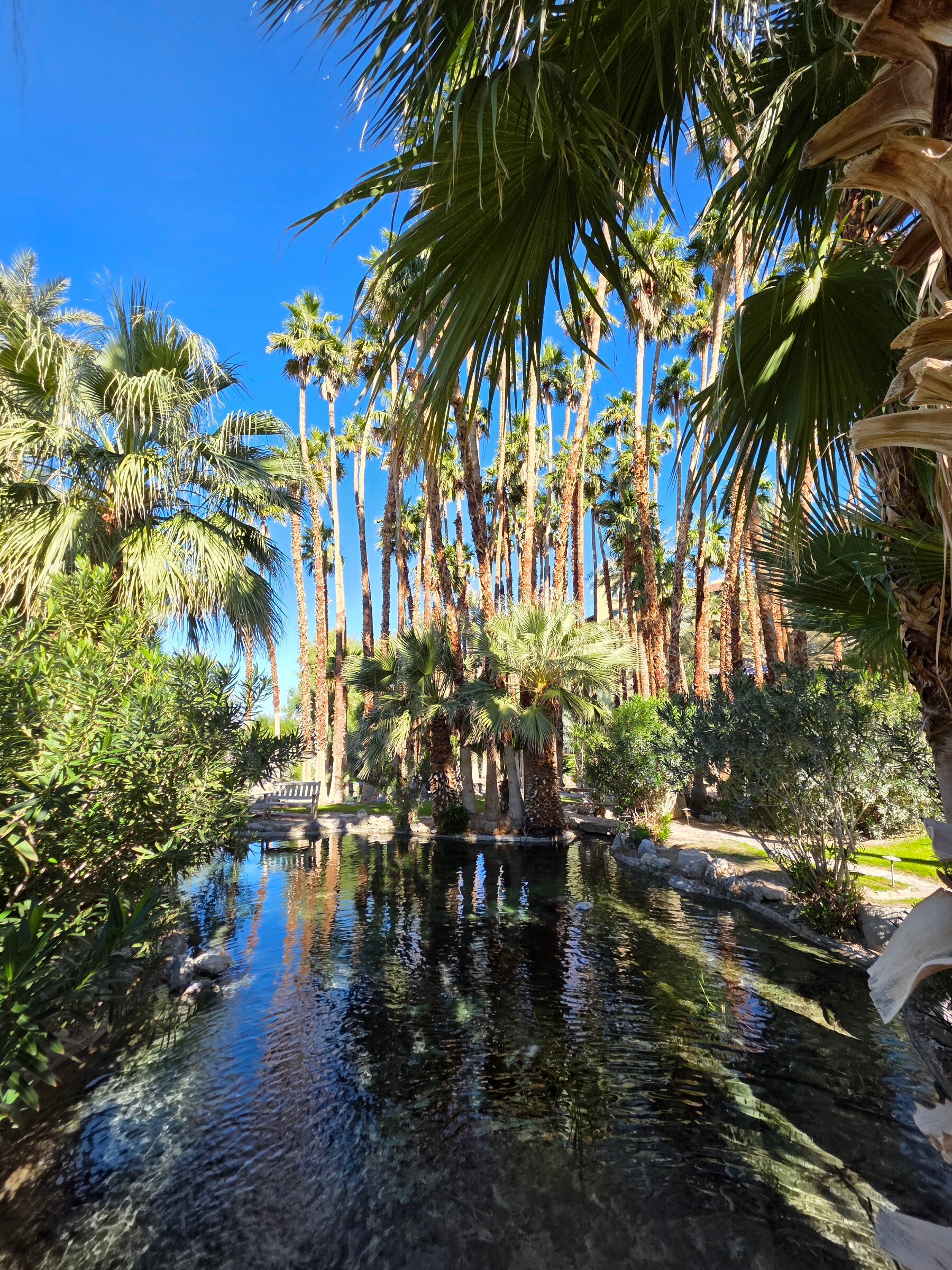 The Inn at Death Valley-浴室
