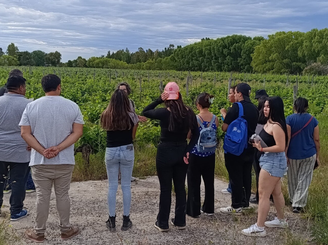 Wapisa Winery-Viedma必去景点