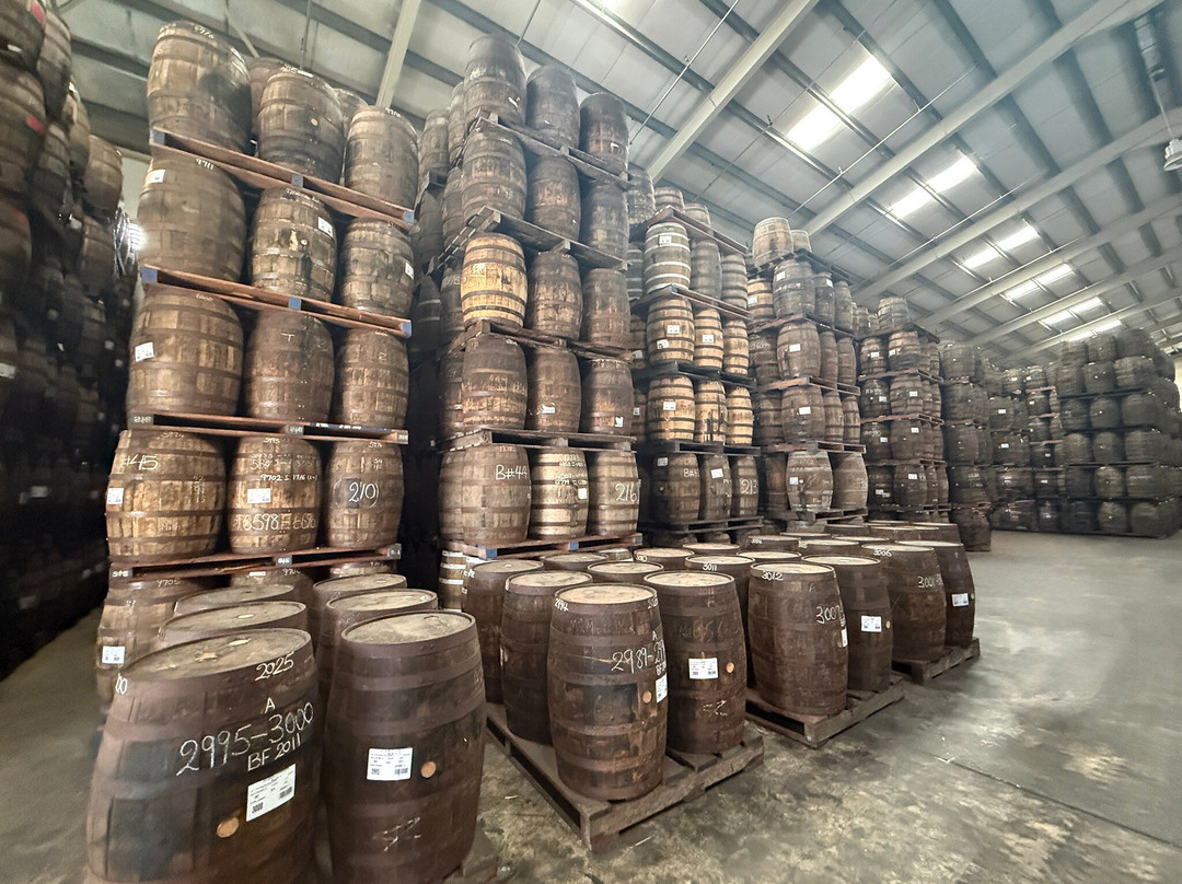 Mount Gay Rum Distillery-Benthams必去景点