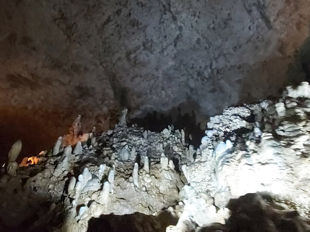 Harrison's Cave Eco-Adventure Park-Saint Thomas Parish必去景点