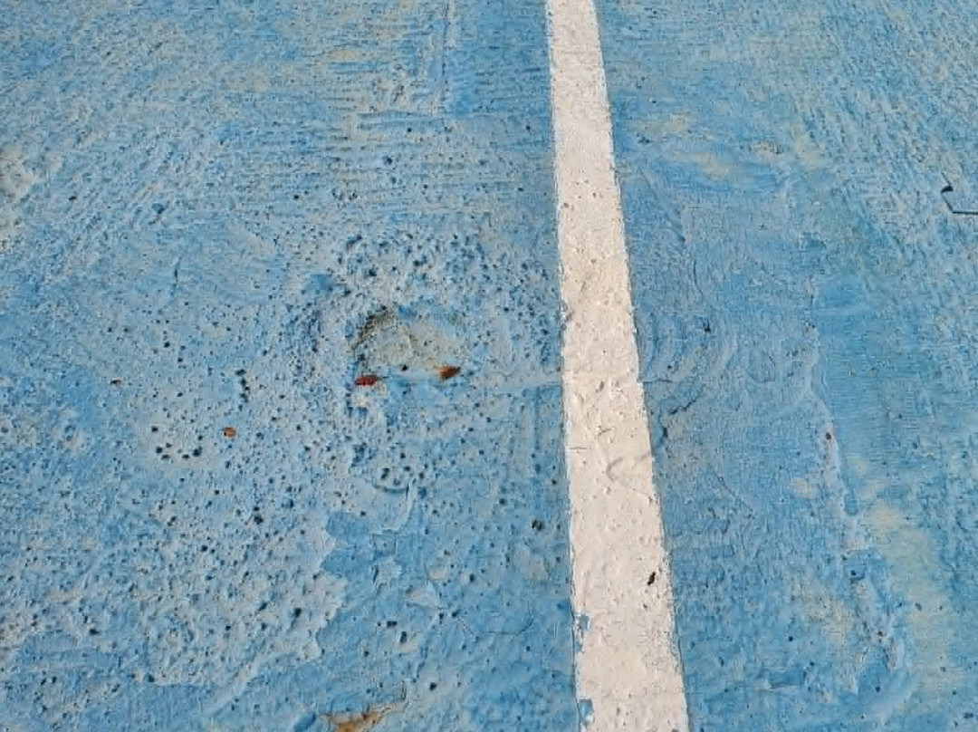 Melia Costa Rey主图