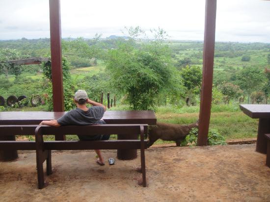 Motel Phnom Yaklom主图