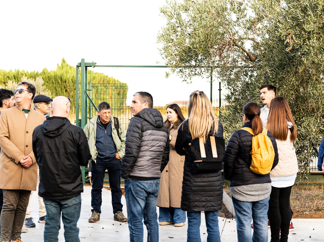 Almazara Riojana-Aldeanueva de Ebro必去景点