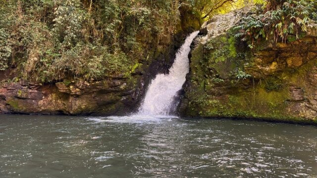 Eco Park Alta Mira-Sao Francisco de Paula必去景点