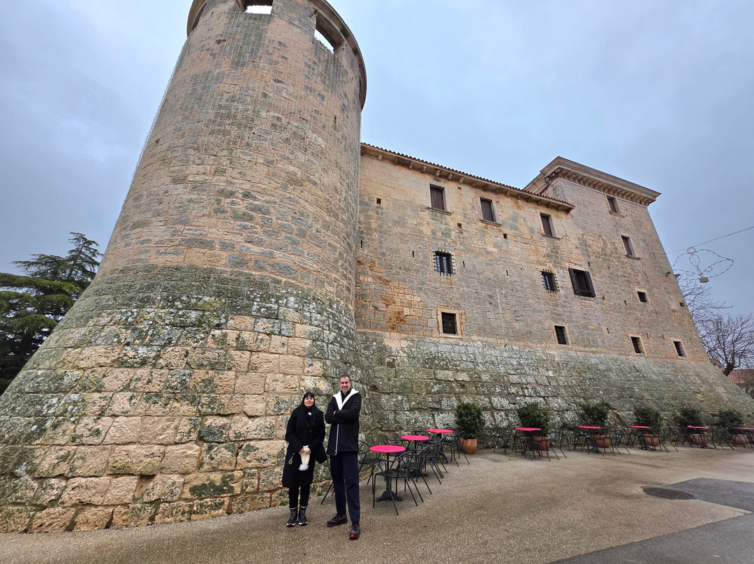 Morosini Grimani Castle-Svetvincenat必去景点