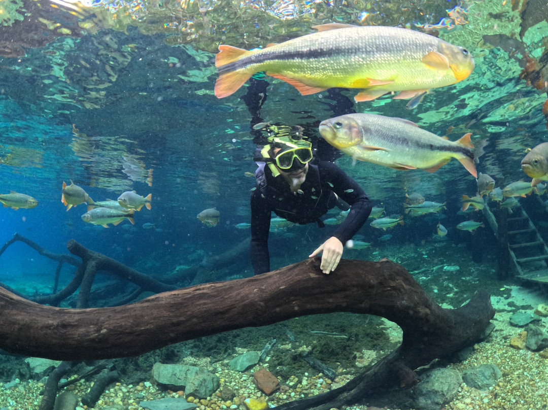 Recanto Ecologico Rio da Prata-博尼图必去景点