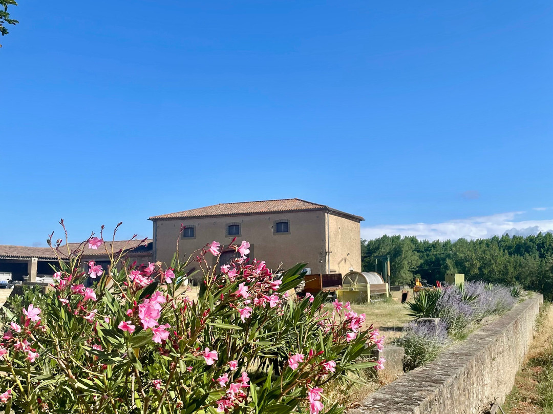 Domaine la Mijane-Villemoustaussou必去景点