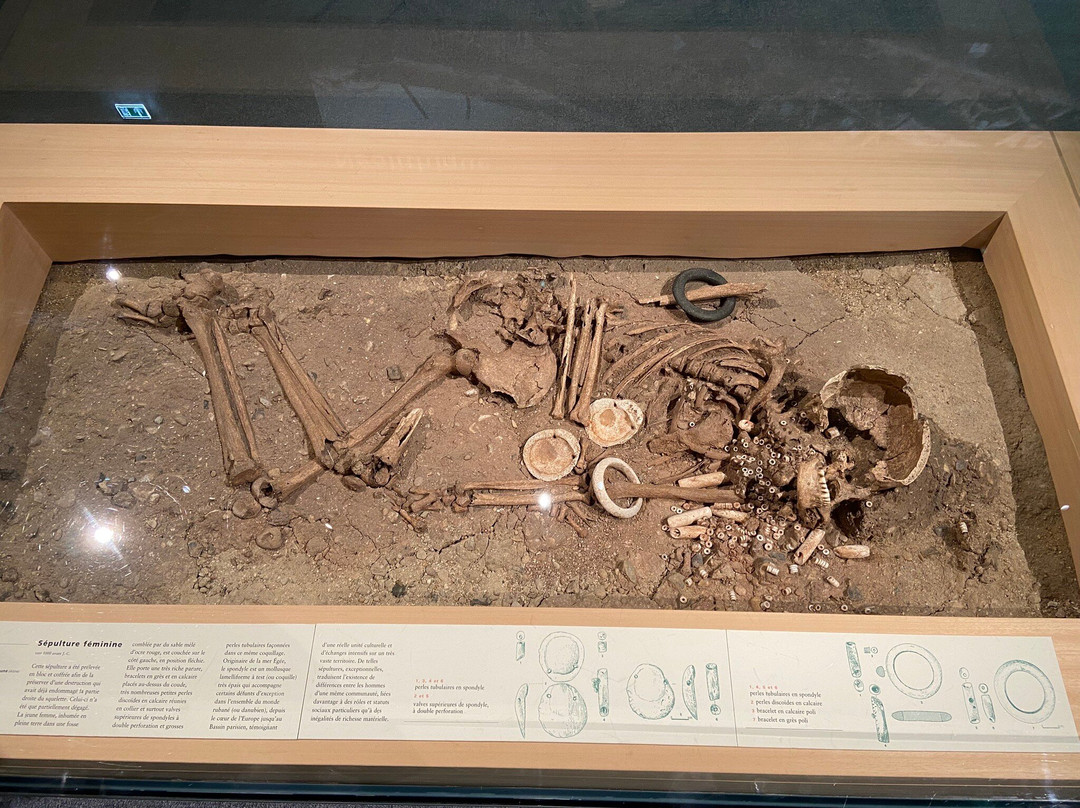 Musée d'Archéologie Nationale-圣日尔曼莱昂必去景点