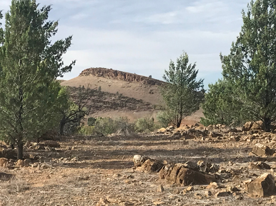 Flinders Ranges National Park-霍克必去景点