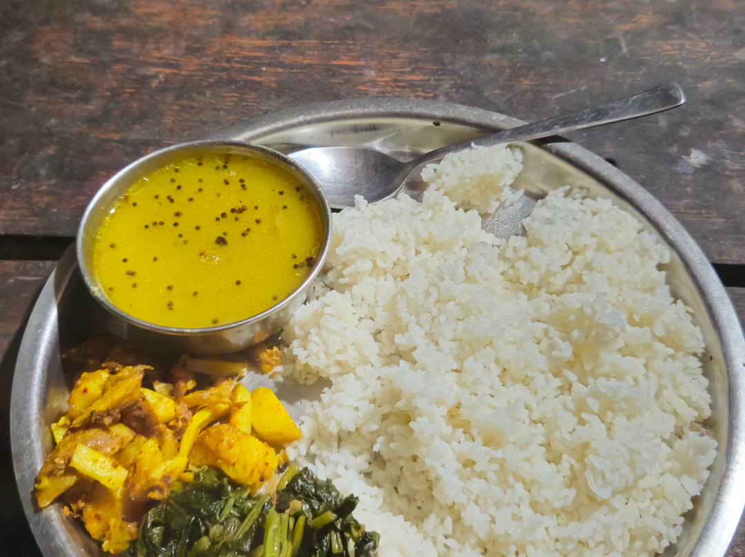 United Jungle Guide Service-奇旺国家公国必去景点