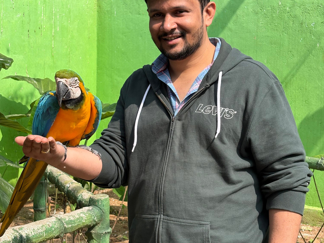 Fundera Park-Yelagiri必去景点