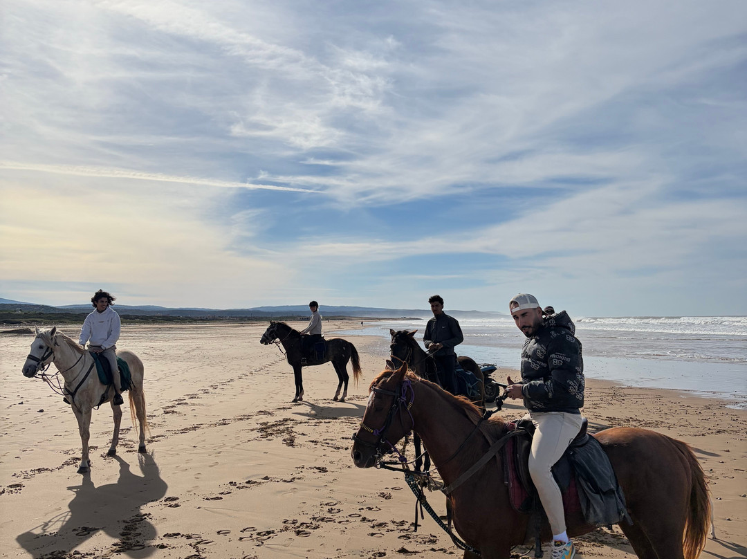 Cheval Essaouira-索维拉必去景点