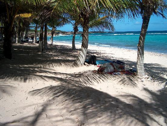 Club Caravelles主图