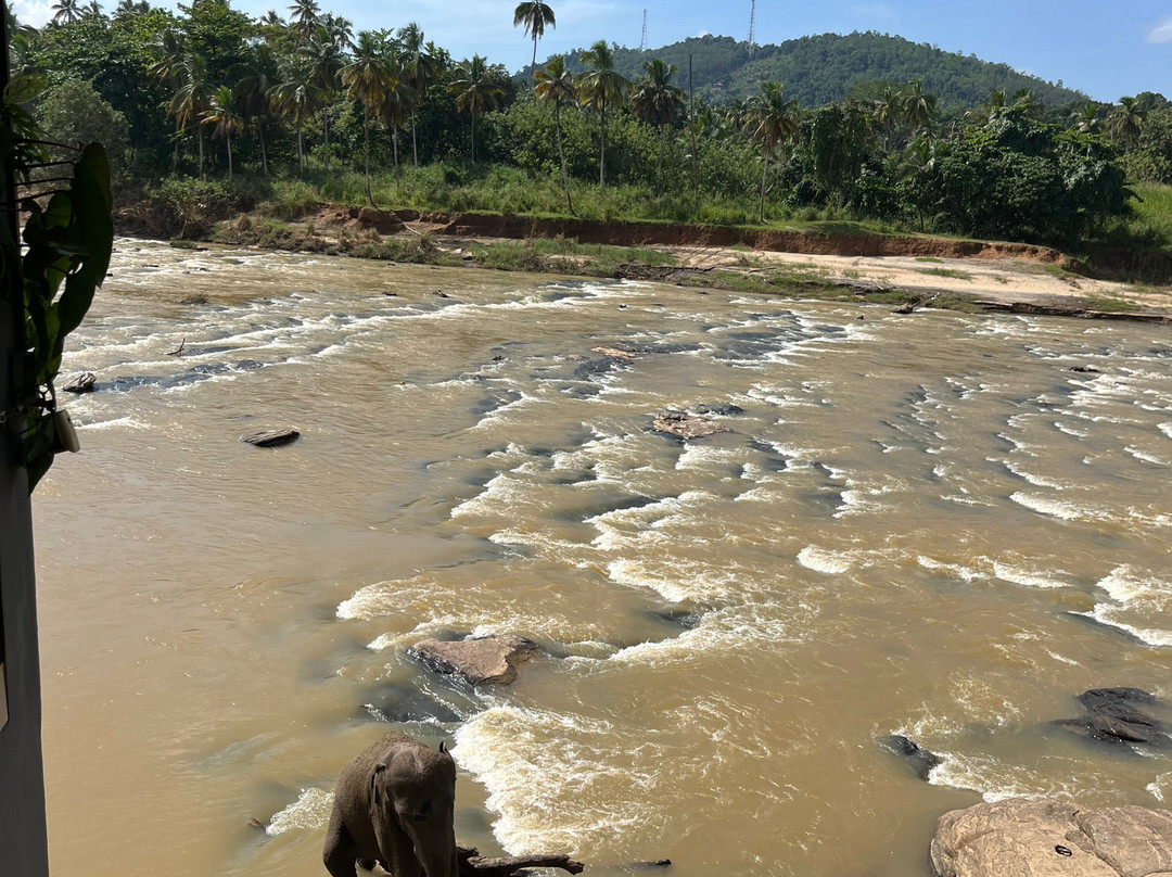 Nature Paradise Travels-科伦坡必去景点