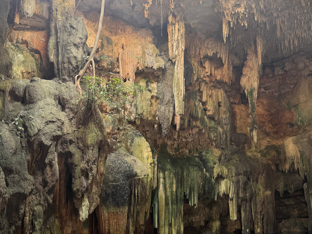 Tsukán Santuario de Vida-Piste必去景点