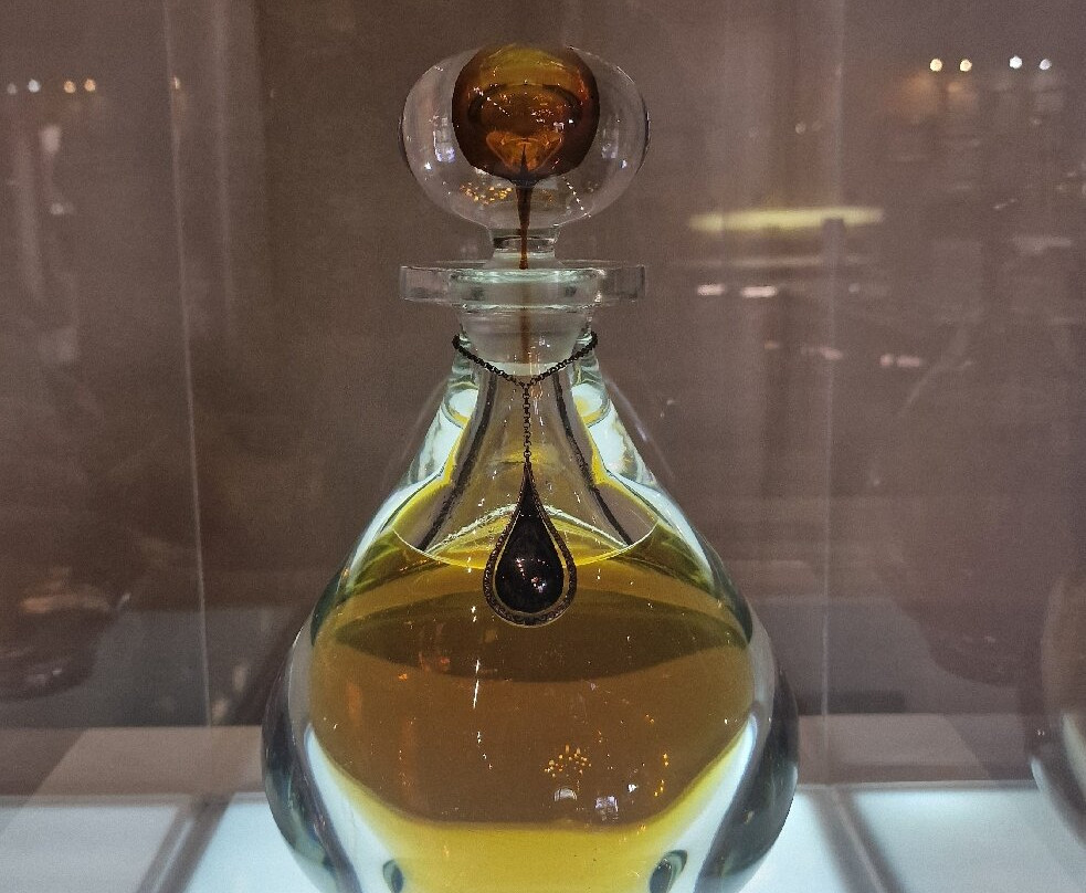 Van Ryn's Distillery and Brandy Cellar-斯泰伦博斯必去景点