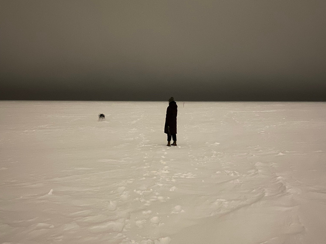 Lakeview Gimli Resort主图