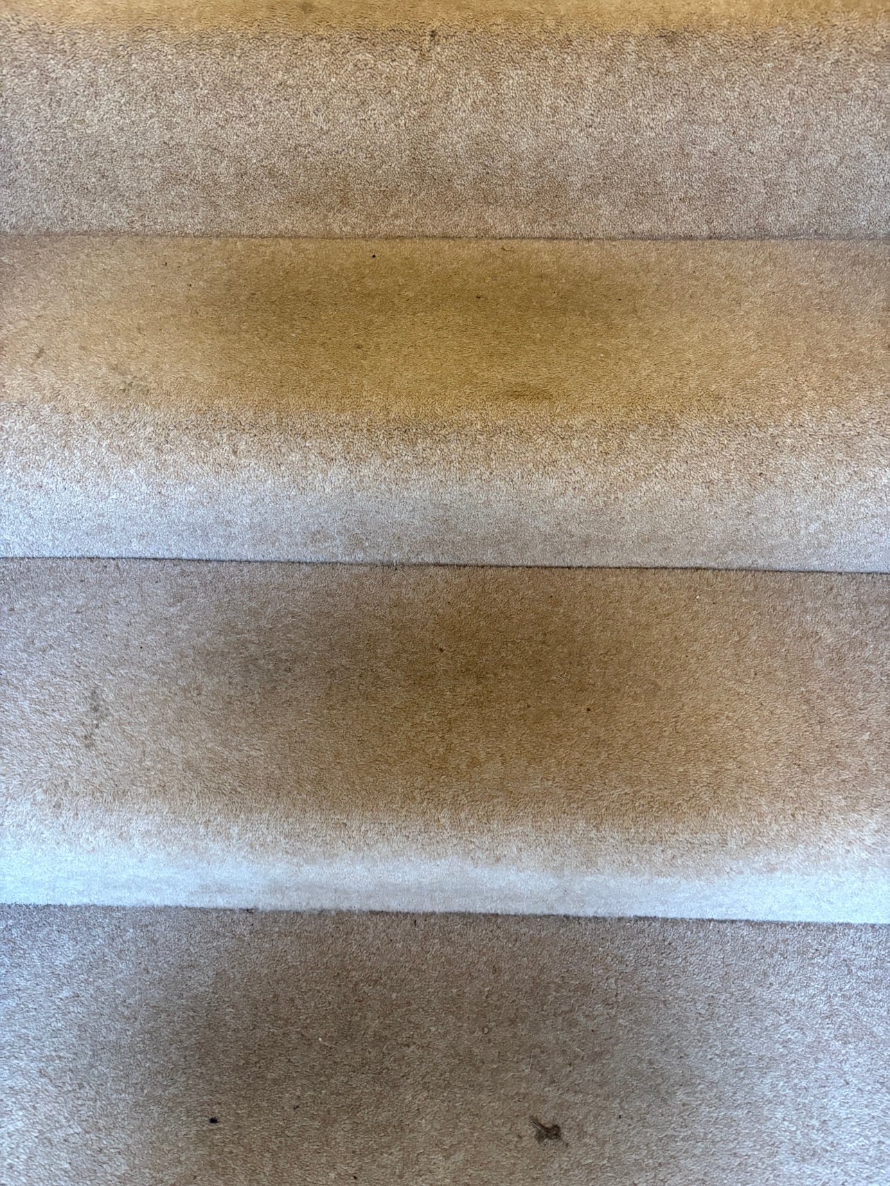 Orchard Country Apartments-官方