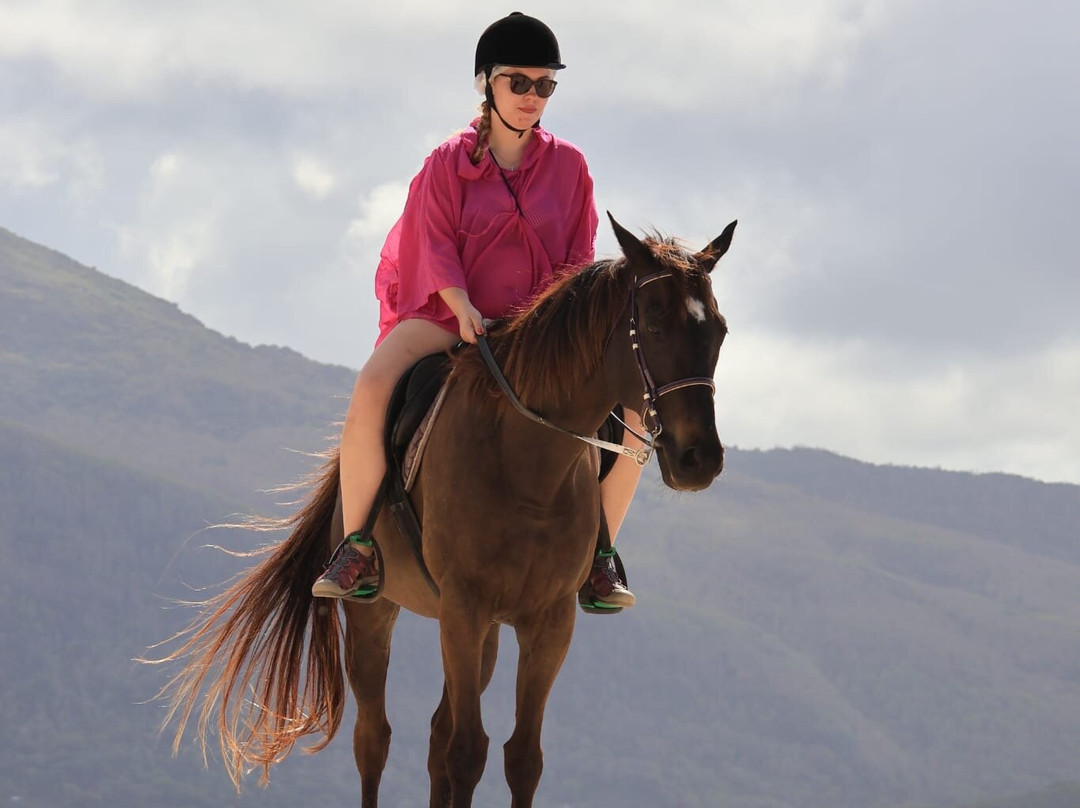 Haras Du Morne-莫纳山必去景点