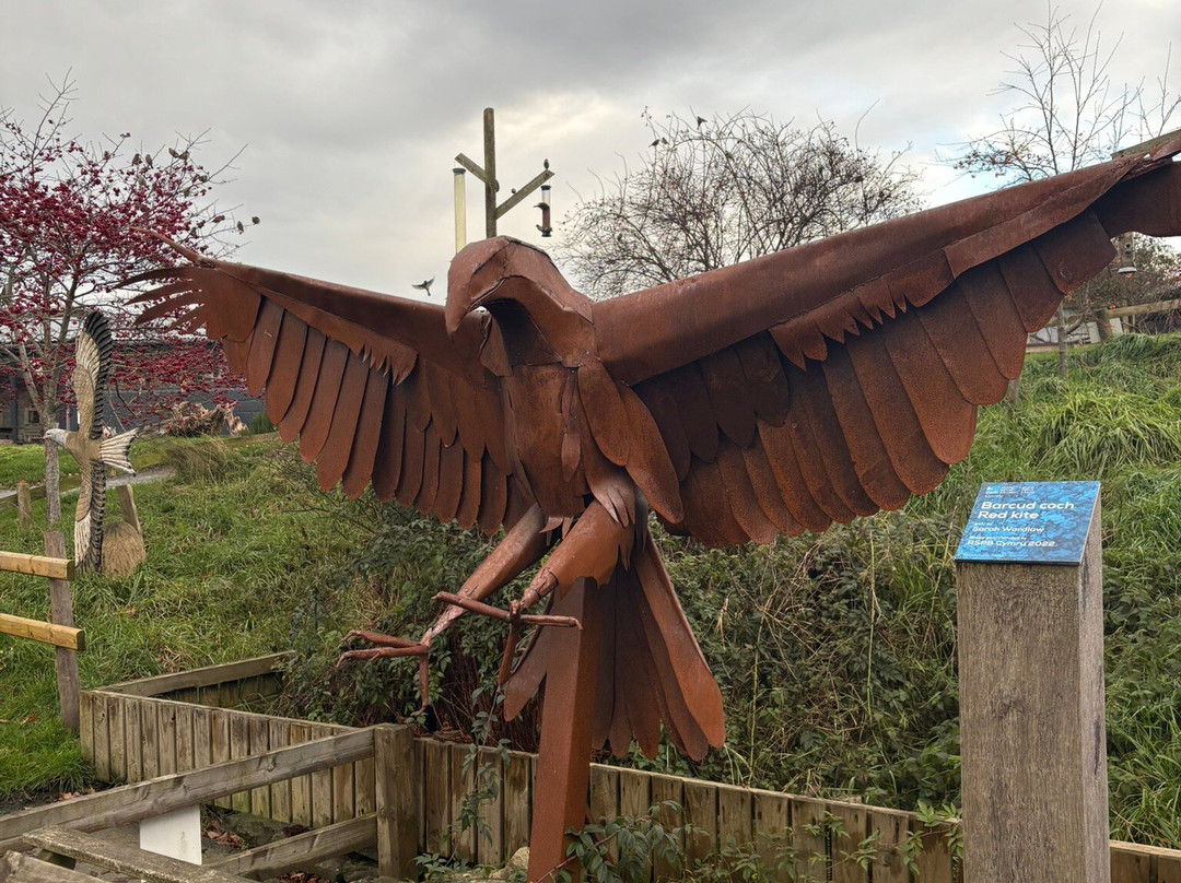 Gigrin Farm Red Kite Feeding Centre-Rhayader必去景点
