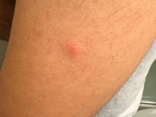 Holiday Inn Alexandria - Carlyle By IHG主图