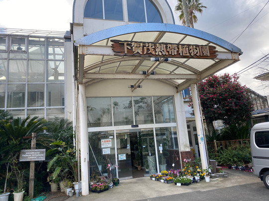 Shimokamo Tropical Garden-南伊豆町必去景点