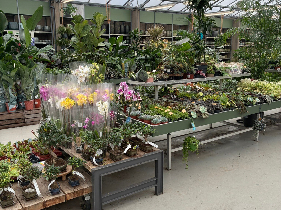 Dekatuin Heiloo-Heiloo必去景点