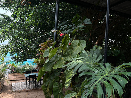 Niyo Art Gallery-吉佳利必去景点