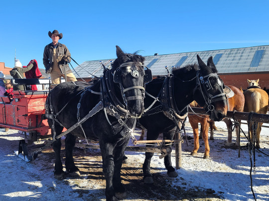 Rocky Mountain Stables-格兰比必去景点
