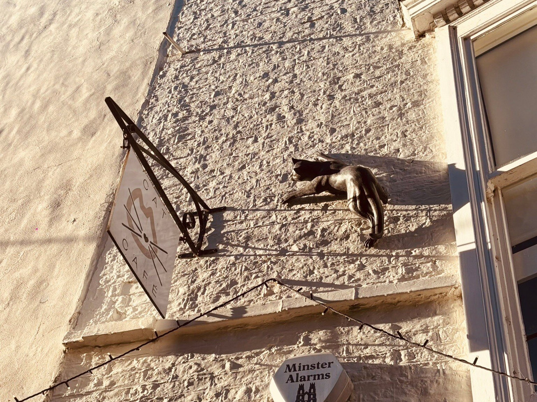 York Cat Trail-约克必去景点