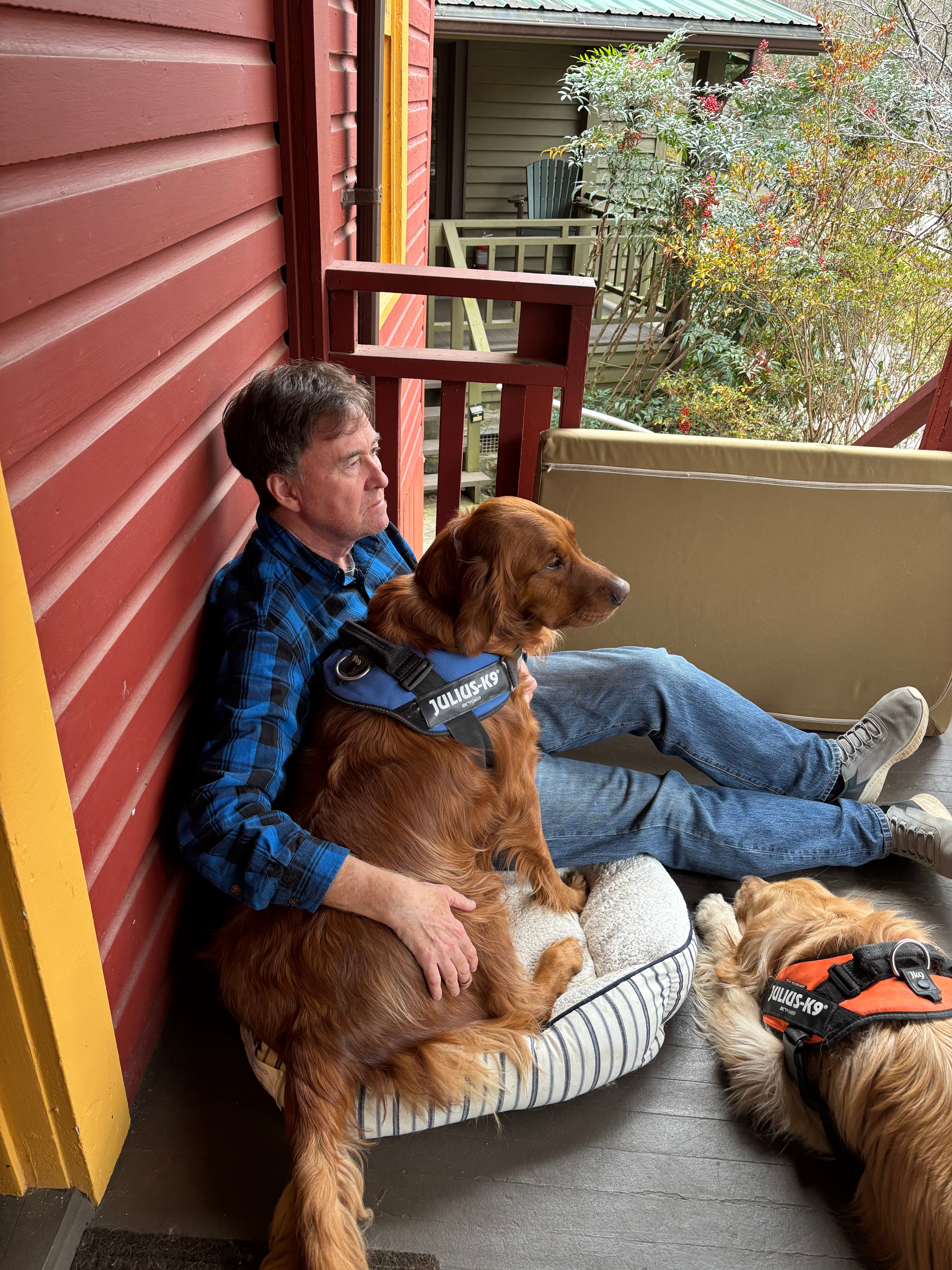 Historic Tapoco Lodge Resort-客卧