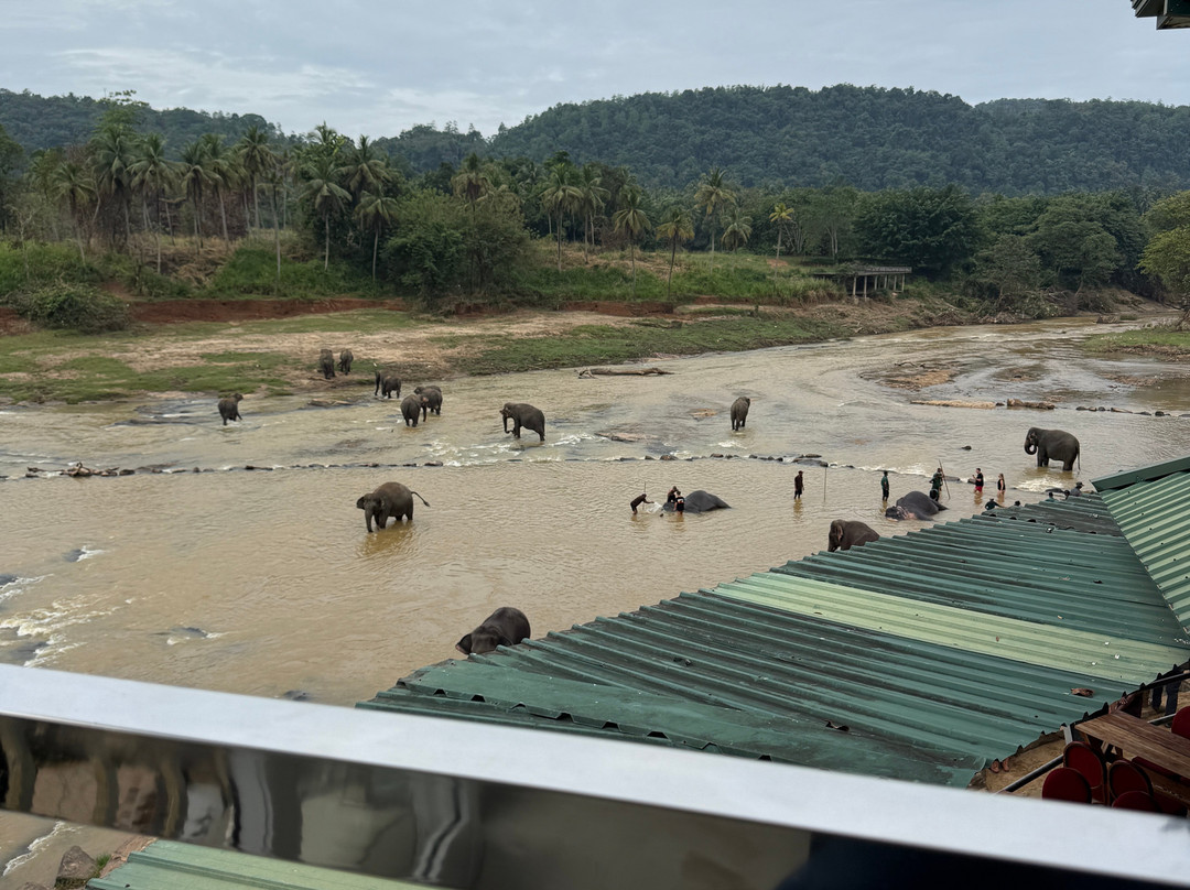 大象公园酒店主图