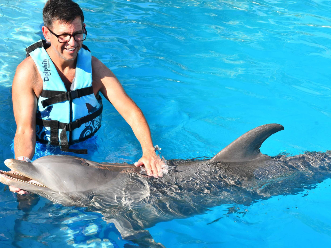 Dolphin Discovery Playa Del Carmen-普拉亚德尔卡曼必去景点