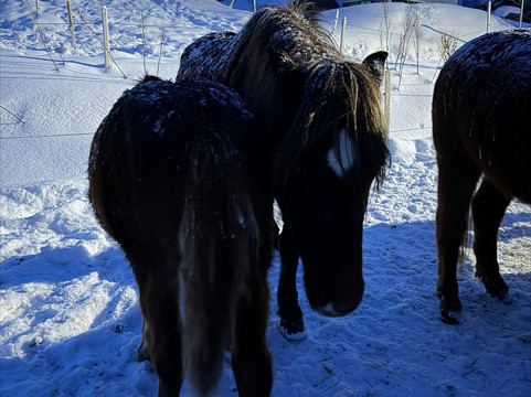 Tromsø Lyngshest-特罗姆瑟必去景点