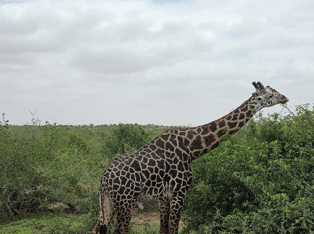 Discovery Kenya con Fragola-瓦塔木必去景点
