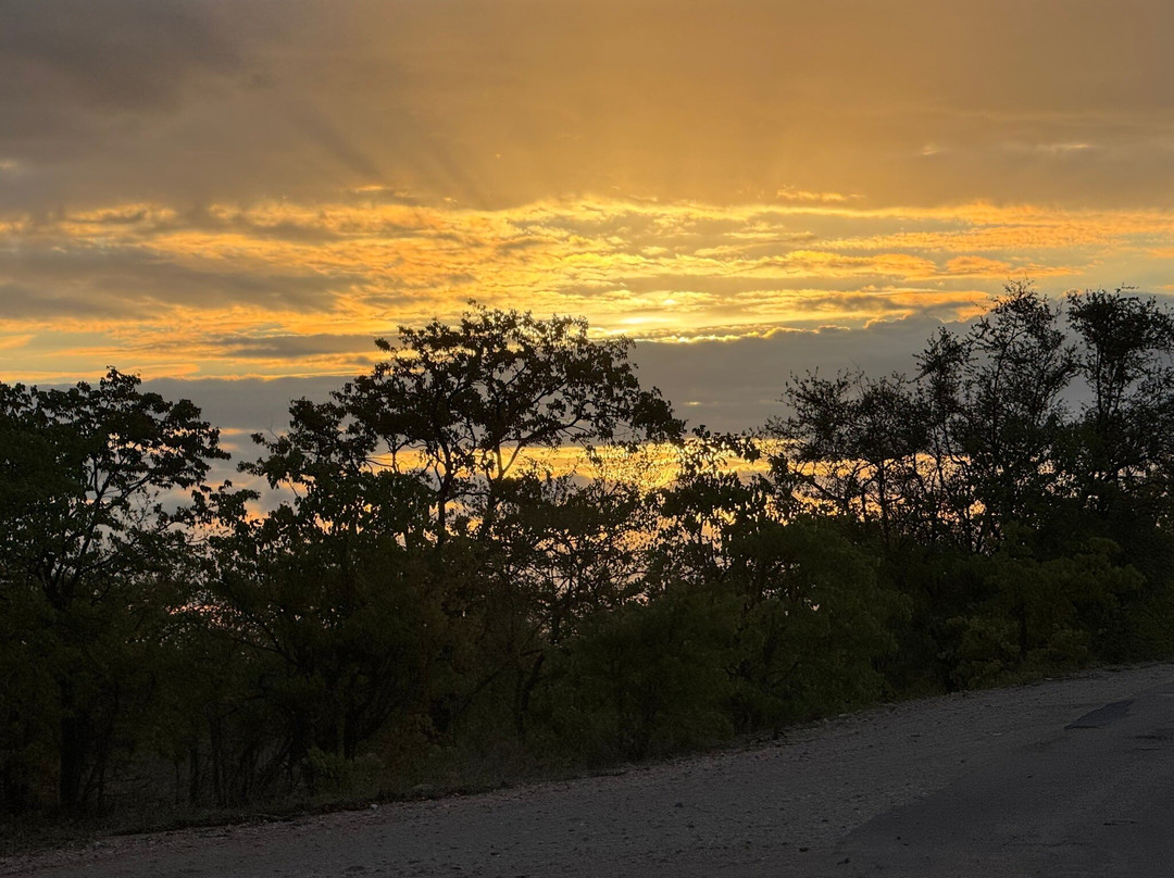 Kedibone Safaris-伐拉博瓦必去景点