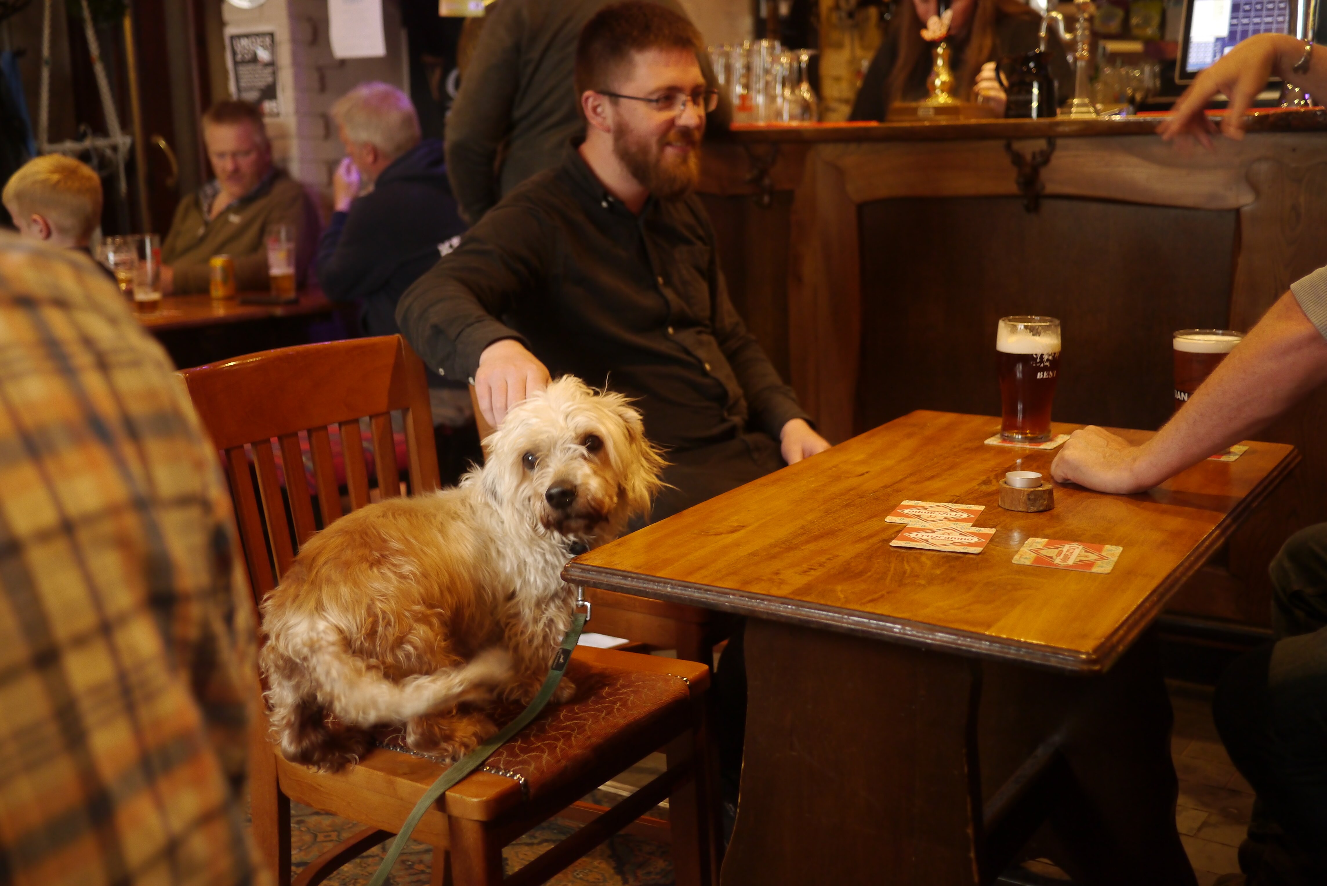 The Dunning Hotel-家庭/游戏区