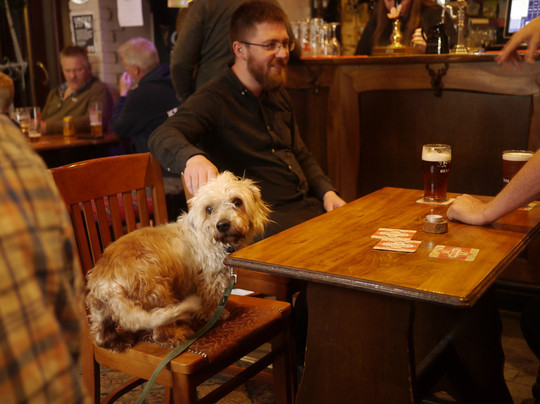 The Dunning Hotel主图