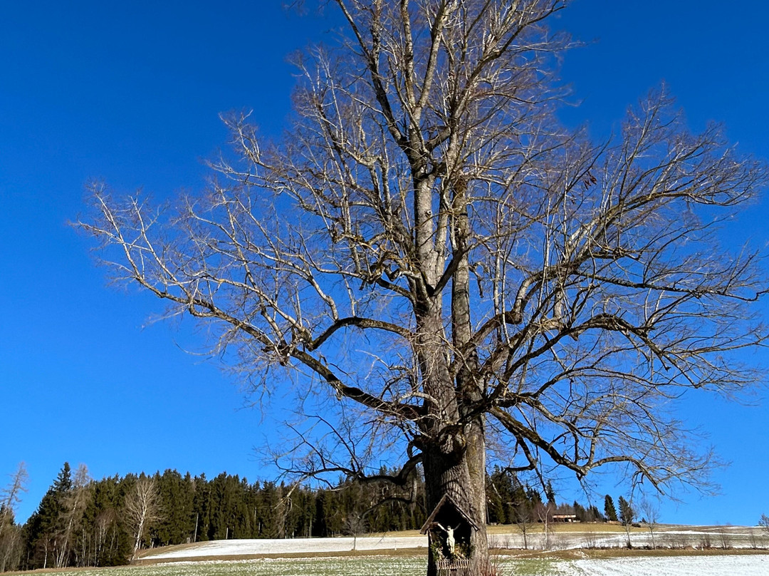 Das Leitner - Narnhoferwirt主图