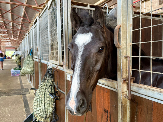 Centennial Equestrian-Moore Park必去景点