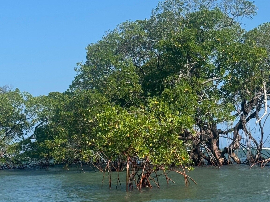 Ponta de Castelhanos-Ilha de Boipeba必去景点
