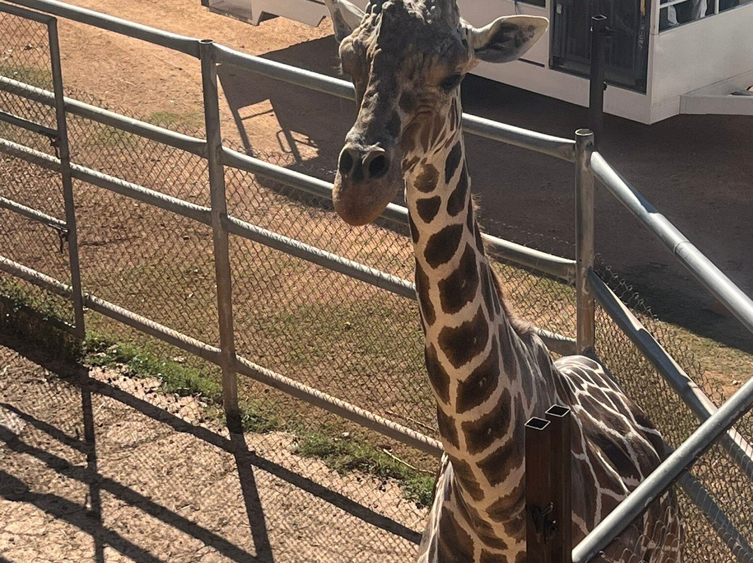 Parque Animaya-梅里达必去景点