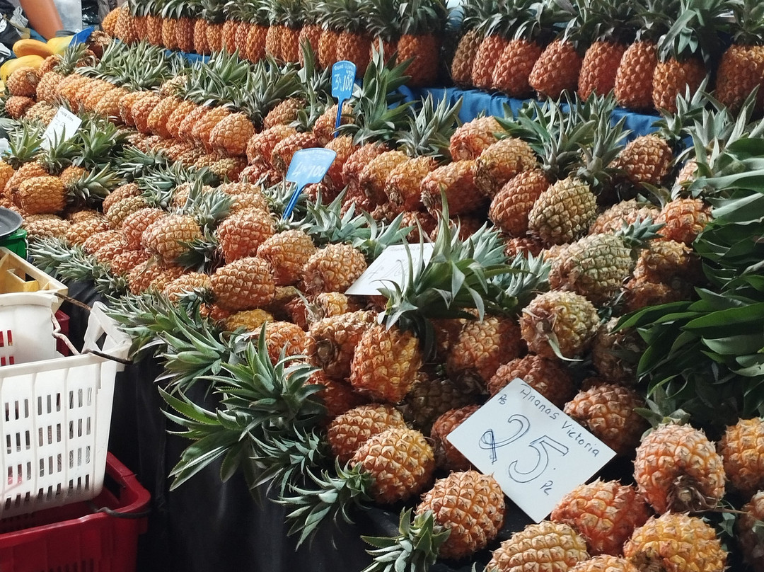 Marché de Flacq-Centre de Flacq必去景点