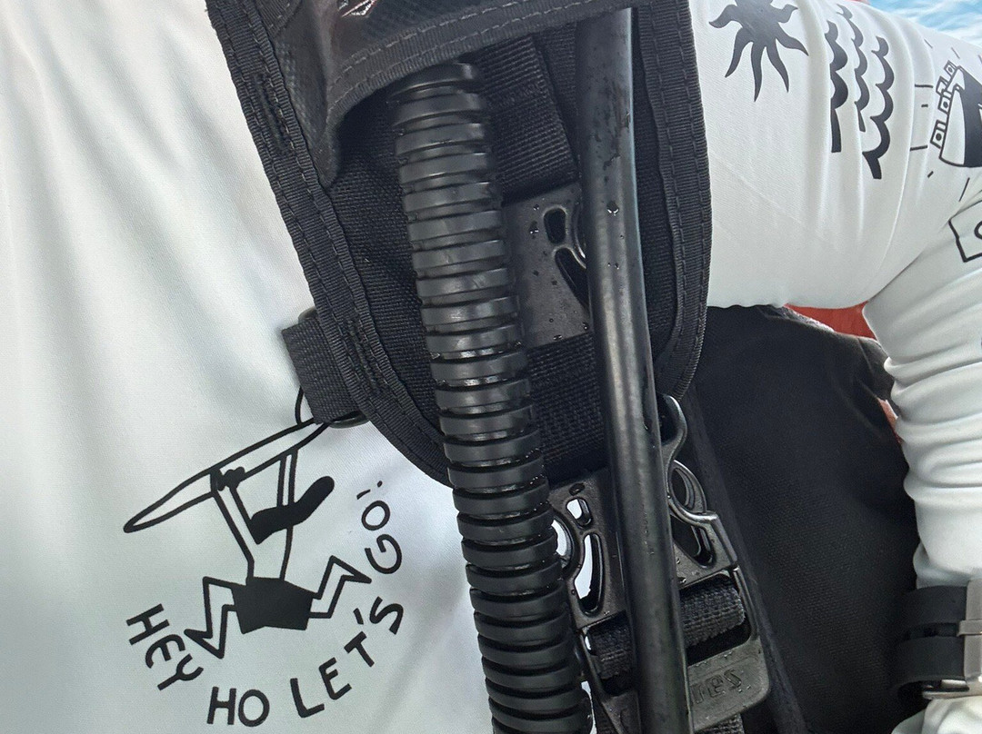 Fathu Dives & Excursion Center-Dhangethi Island必去景点