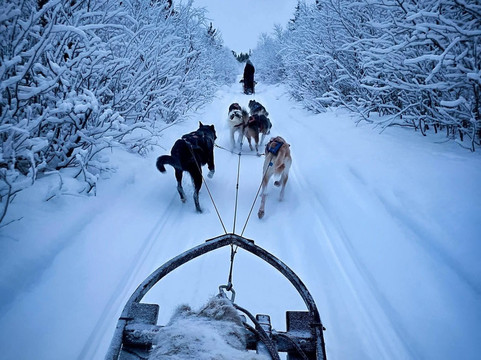 White Trail Adventures-基律纳必去景点