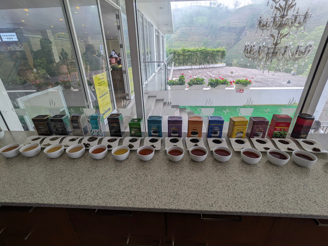 Rk tours (travel with ragu) nanuoya-Nanu Oya必去景点