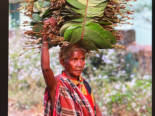 Alternative Tours-布巴内斯瓦尔必去景点