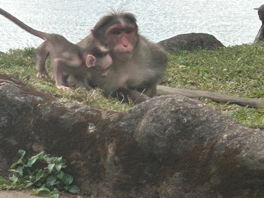 Aros Holidays-新德里必去景点