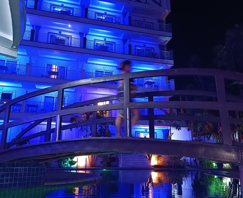 野生兰花度假村主图