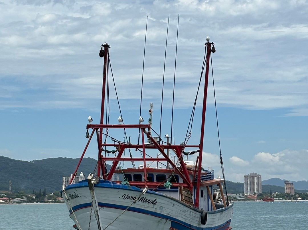 Passeios de Lancha SC-Picarras必去景点